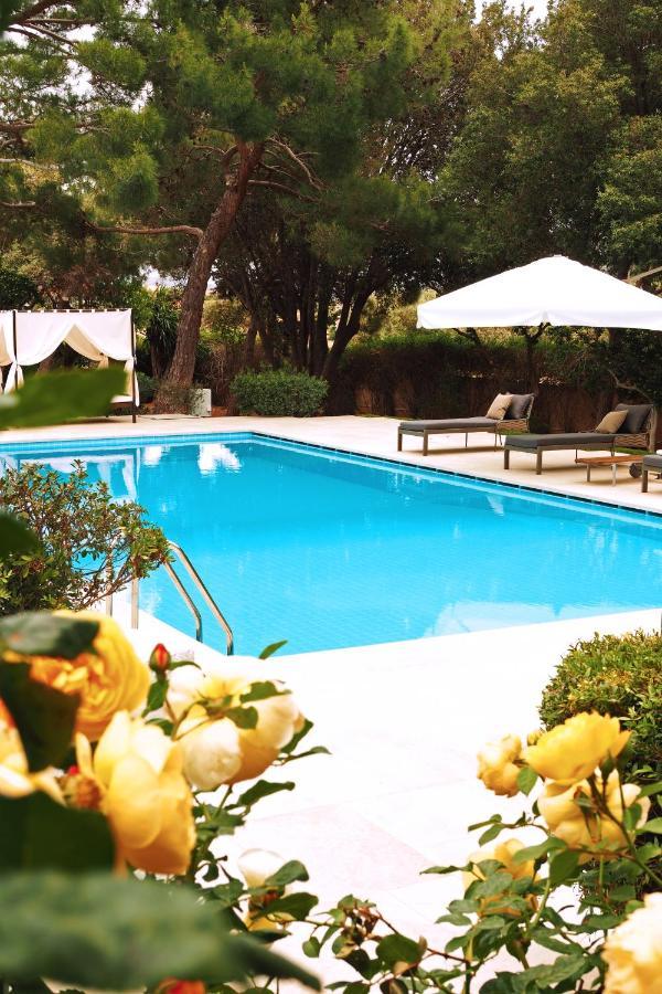 Villa Oasis With Large Pool Athenian Riviera Lagonissi Lagonisi Exteriér fotografie